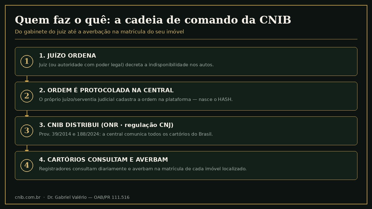 Fluxograma da cadeia de comando da CNIB: o juiz decreta a indisponibilidade, o juízo protocola a ordem na central gerando o hash, a CNIB operada pelo ONR sob regulação do CNJ distribui a ordem, e os cartórios de registro de imóveis consultam diariamente e averbam na matrícula